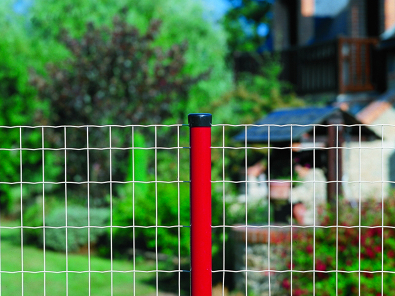 Euro Fencing (Holland Mesh Fence)